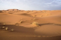 Erg Chebbi