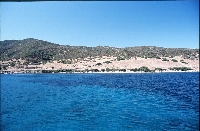 Isola dell'Asinara